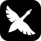Goose